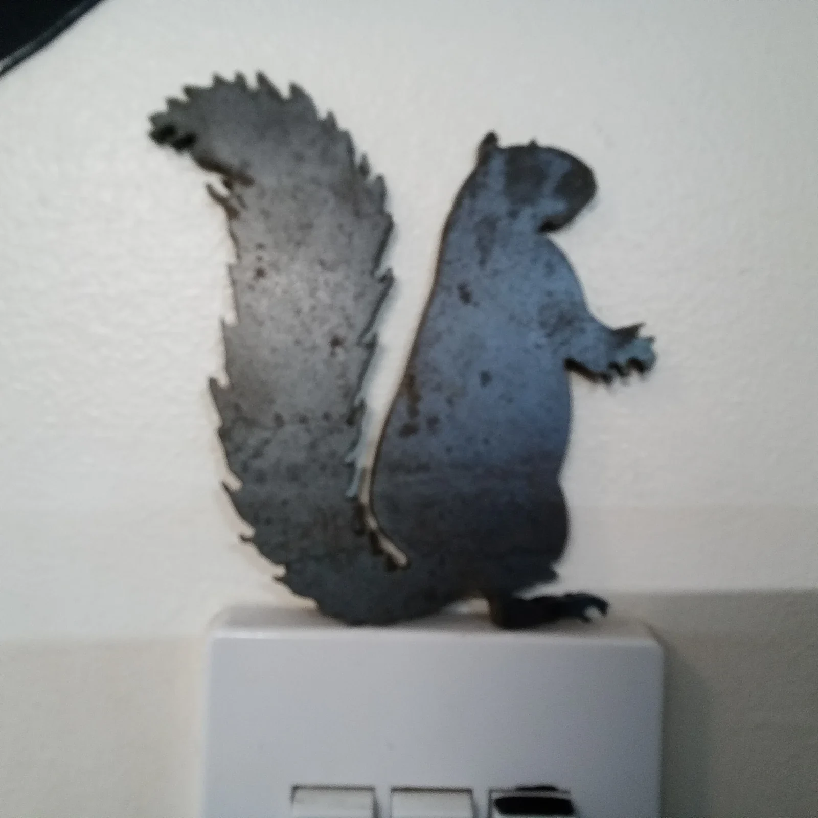 Squirrel — workshop photograph 2