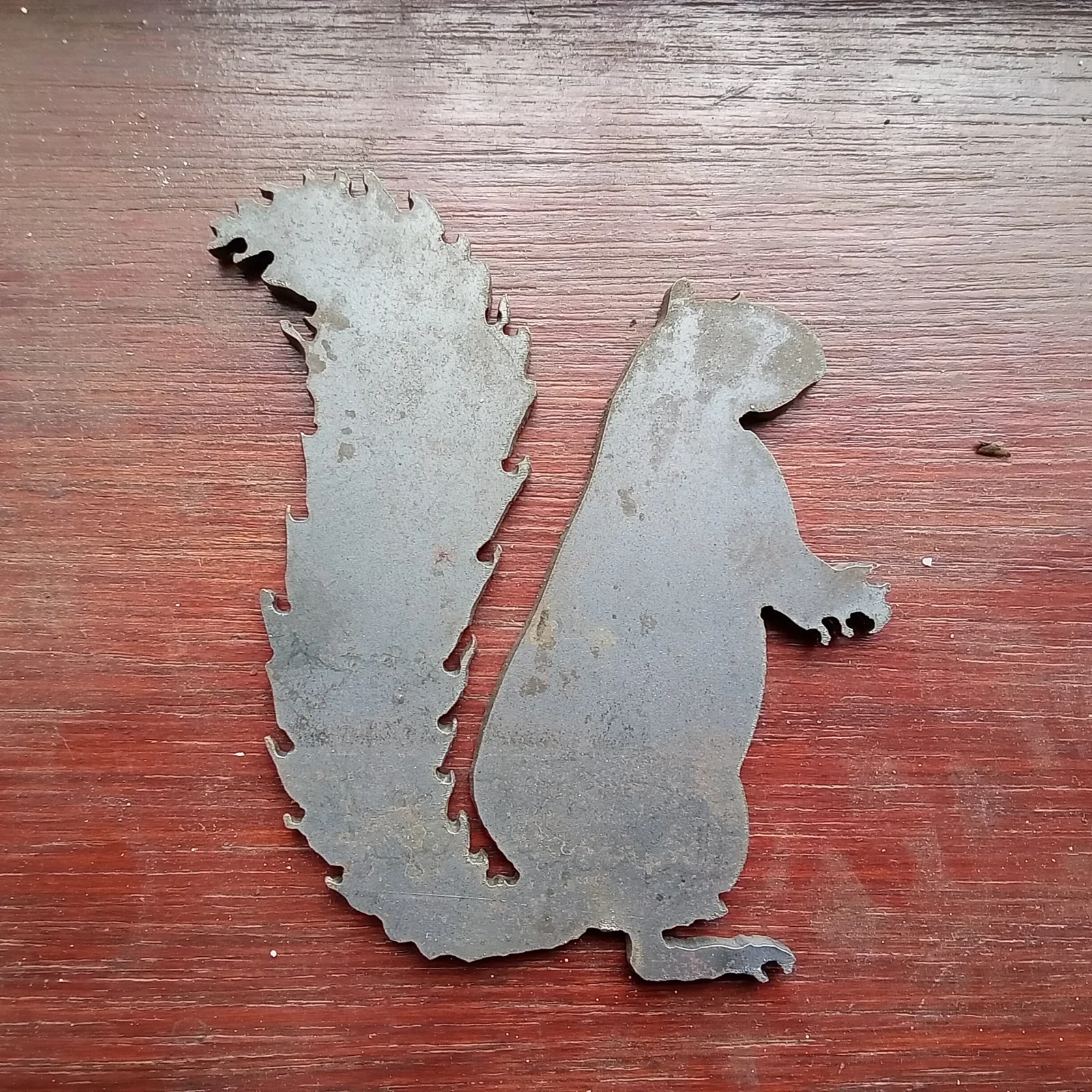 Squirrel — workshop photograph 1