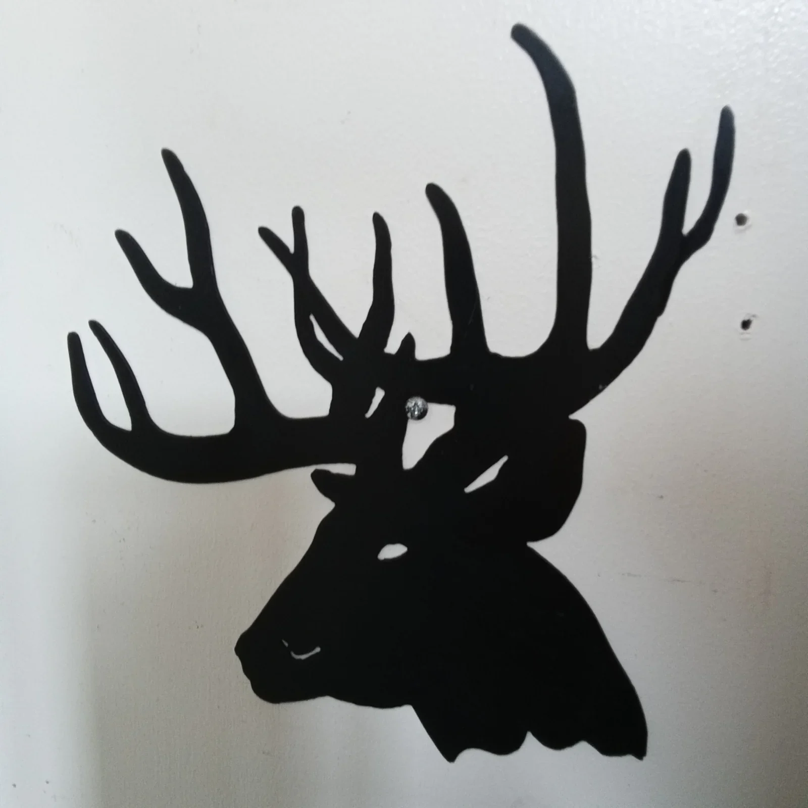 Stag head — workshop photograph 1