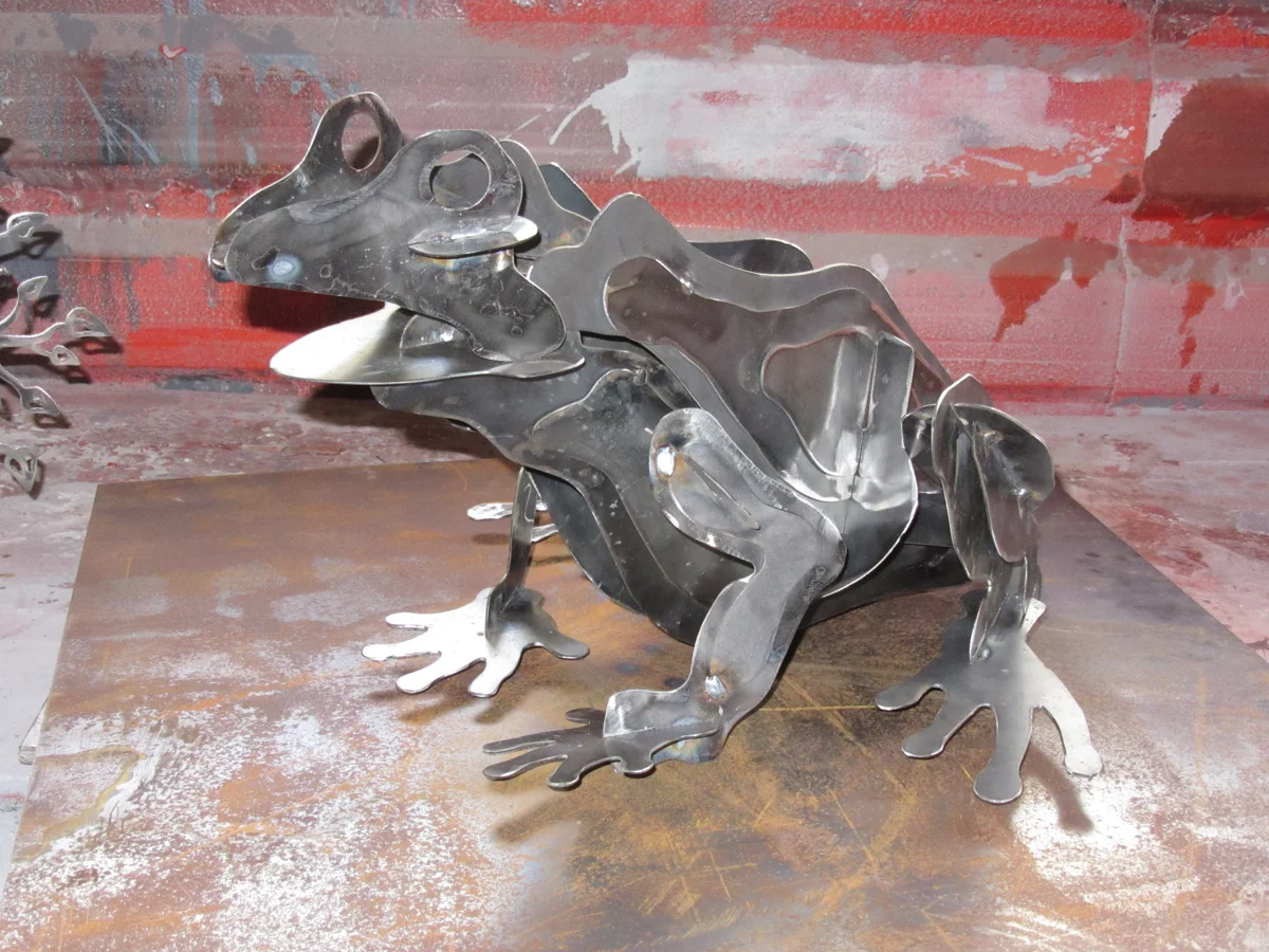 Frog — 360° view
